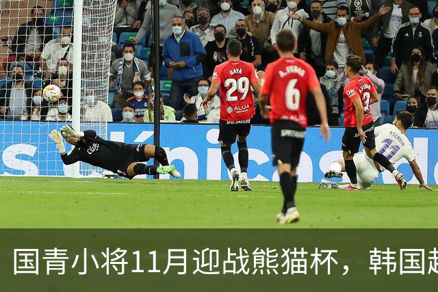 国青小将11月迎战熊猫杯，韩国越南阿联酋齐献“好戏